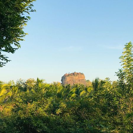 Chena Huts Eco Resort Sigiriya Eksteriør bilde