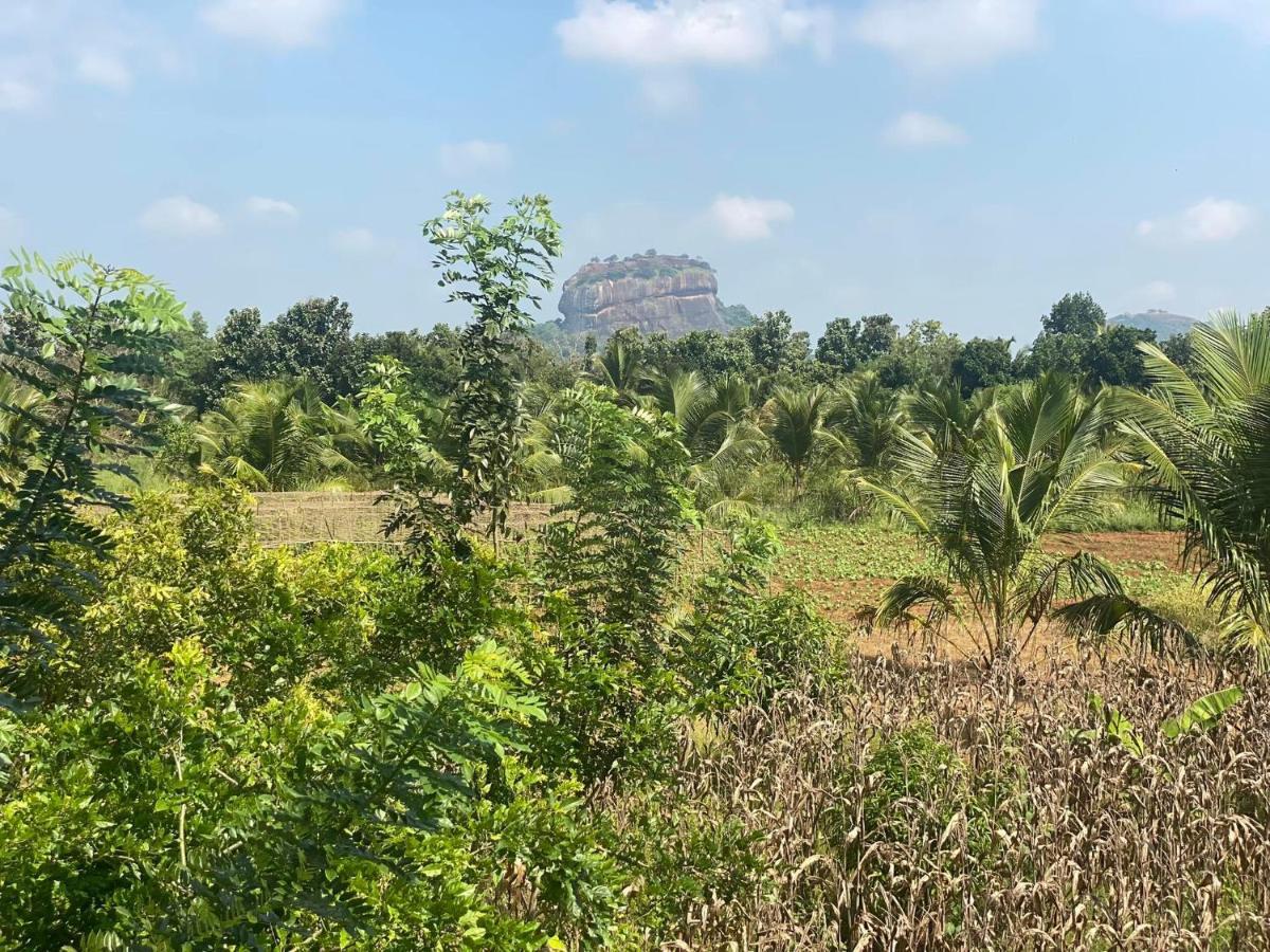 Chena Huts Eco Resort Sigiriya Eksteriør bilde