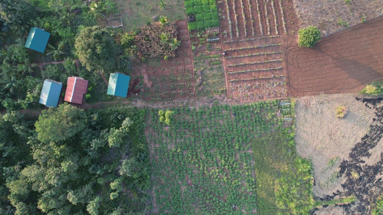 Chena Huts Eco Resort Sigiriya Eksteriør bilde