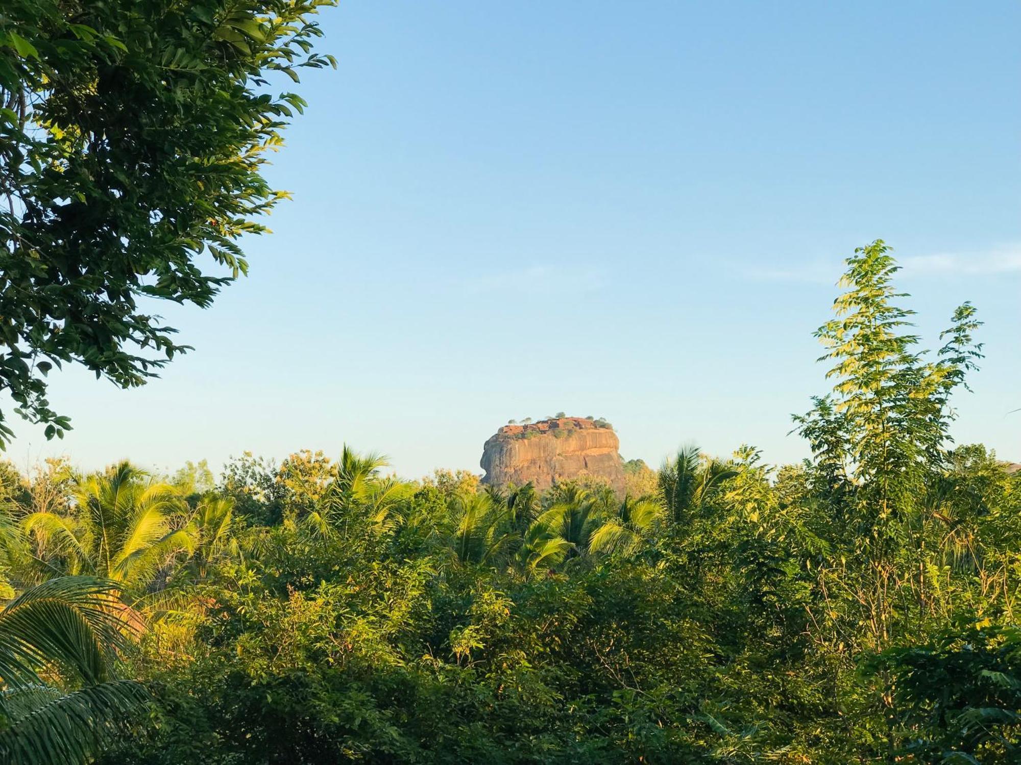 Chena Huts Eco Resort Sigiriya Eksteriør bilde